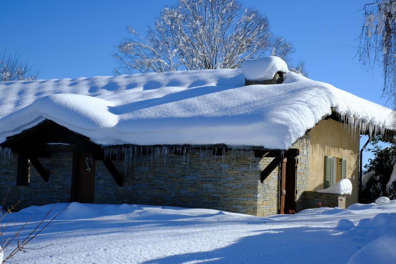 Dionisia'S Home, Pool, Spa On Monviso Unesco Alps Verzuolo 외부 사진