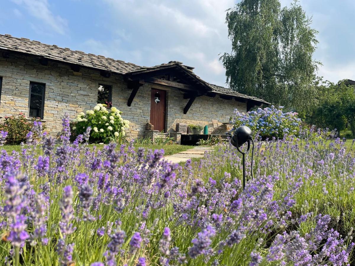 Dionisia'S Home, Pool, Spa On Monviso Unesco Alps Verzuolo 외부 사진